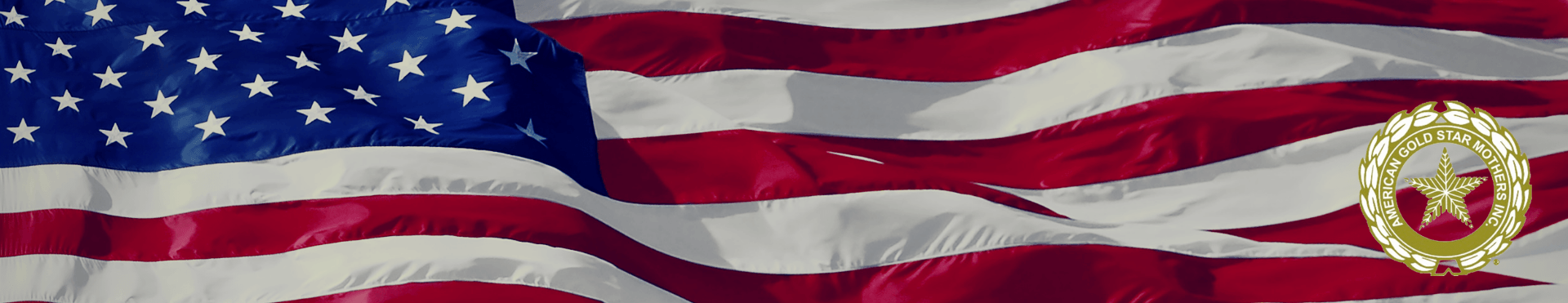 Trinity Integrated Solutions created a Quickbase Reporting Application for American Gold Star Mothers