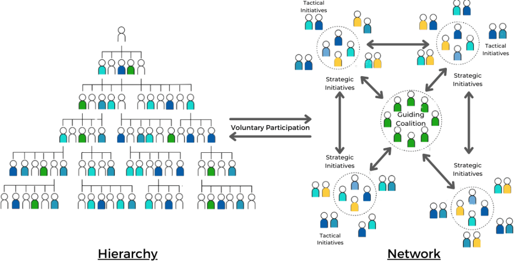 Hierarchy and network are the dual operating systems described by Dr. Kotter